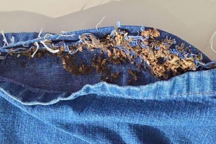 Irmãos são presos em flagrante por tentativa de introduzir drogas na carceragem, em Novo Airão