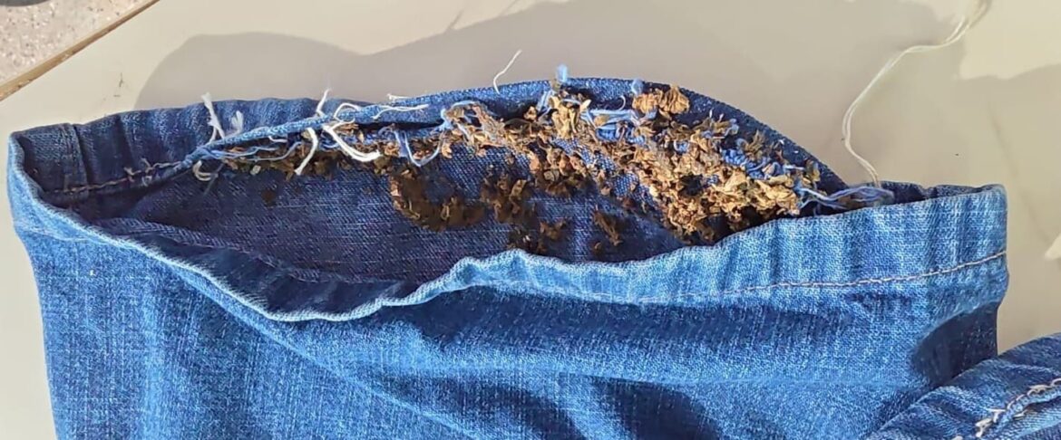 Irmãos são presos em flagrante por tentativa de introduzir drogas na carceragem, em Novo Airão