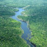 Desmatamento no Amazonas cai 56,4% em janeiro de 2026, aponta Inpe