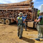 Ibama realiza operação de combate ambientais no Rio Madeira e em terras indígenas no Amazonas