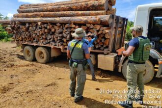 Ibama realiza operação de combate ambientais no Rio Madeira e em terras indígenas no Amazonas