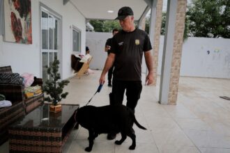 Polícia Civil prende membros de organização criminosa por golpes financeiros avaliados em mais de R$ 75 milhões