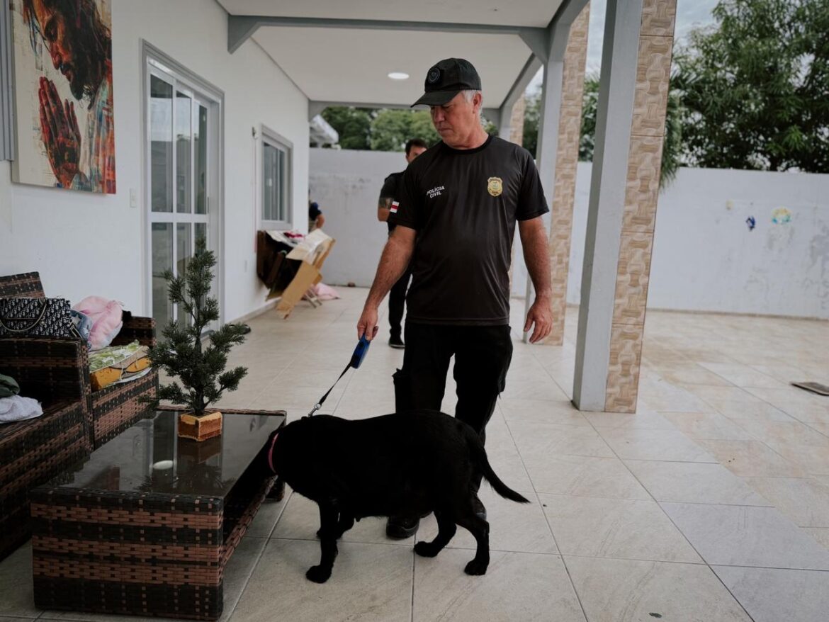 Polícia Civil prende membros de organização criminosa por golpes financeiros avaliados em mais de R$ 75 milhões