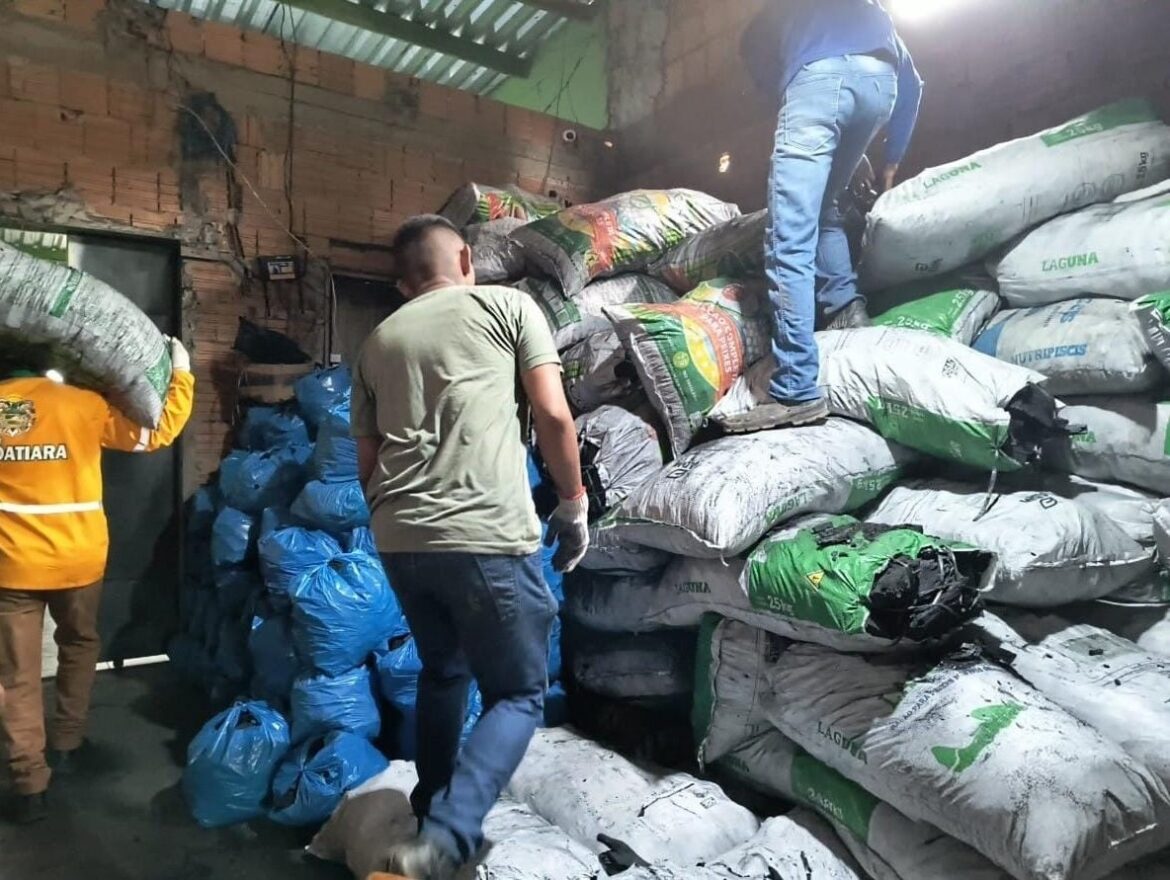 Ipaam apreende 524 sacas de carvão vegetal irregular em Itacoatiara