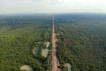 BR-319 tem obras autorizadas e licitação de R$ 678 milhões para pavimentação no Amazonas