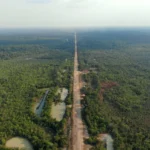 BR-319 tem obras autorizadas e licitação de R$ 678 milhões para pavimentação no Amazonas