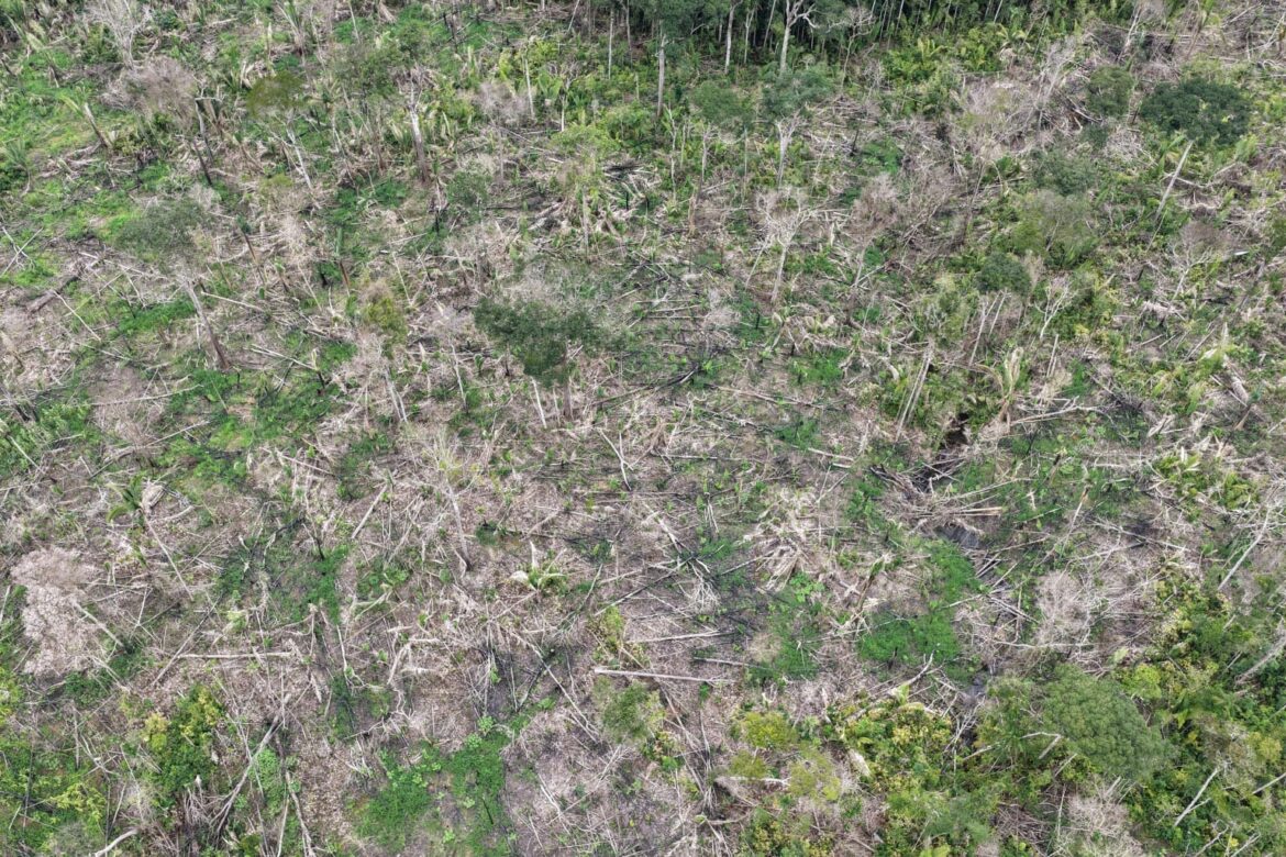 Ipaam autua três pessoas e aplica mais de R$ 1,7 milhão em multas em Humaitá