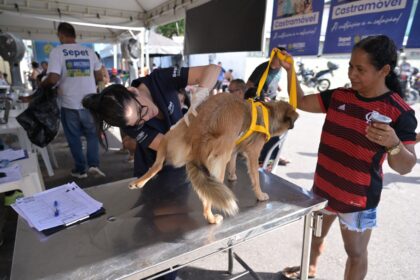 Sepet completa um ano com mais de 56 mil animais beneficiados e avanço das políticas de proteção animal no Amazonas