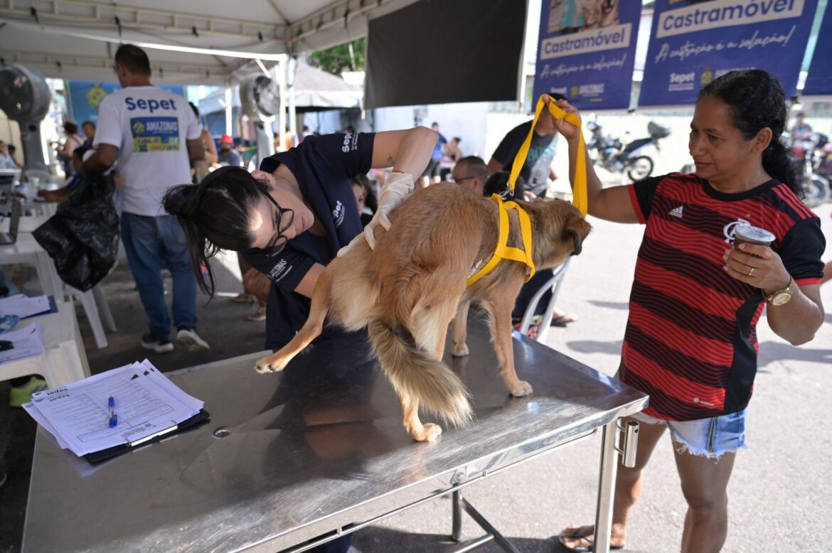 Sepet completa um ano com mais de 56 mil animais beneficiados e avanço das políticas de proteção animal no Amazonas