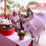 Boi Garantido presta homenagem ao compositor Tadeu Garcia