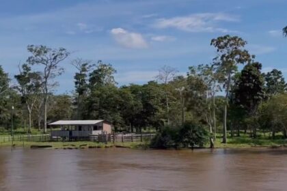 Dia Internacional das Florestas e da Árvore: futuro sustentável depende da colaboração internacional para preservação das áreas verdes
