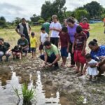 Soltura de quelônios mobiliza comunidades e fortalece conservação na RDS Puranga Conquista