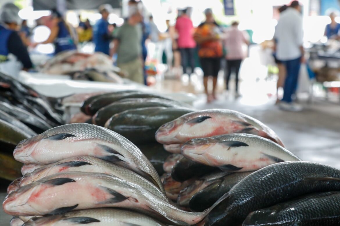 Semana Santa: Feirão do Pescado começa nesta quarta em Manaus