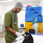 HPVet-AM alcança mais de 33 mil animais atendidos e reforça importância da saúde animal no Amazonas