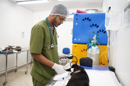 HPVet-AM alcança mais de 33 mil animais atendidos e reforça importância da saúde animal no Amazonas