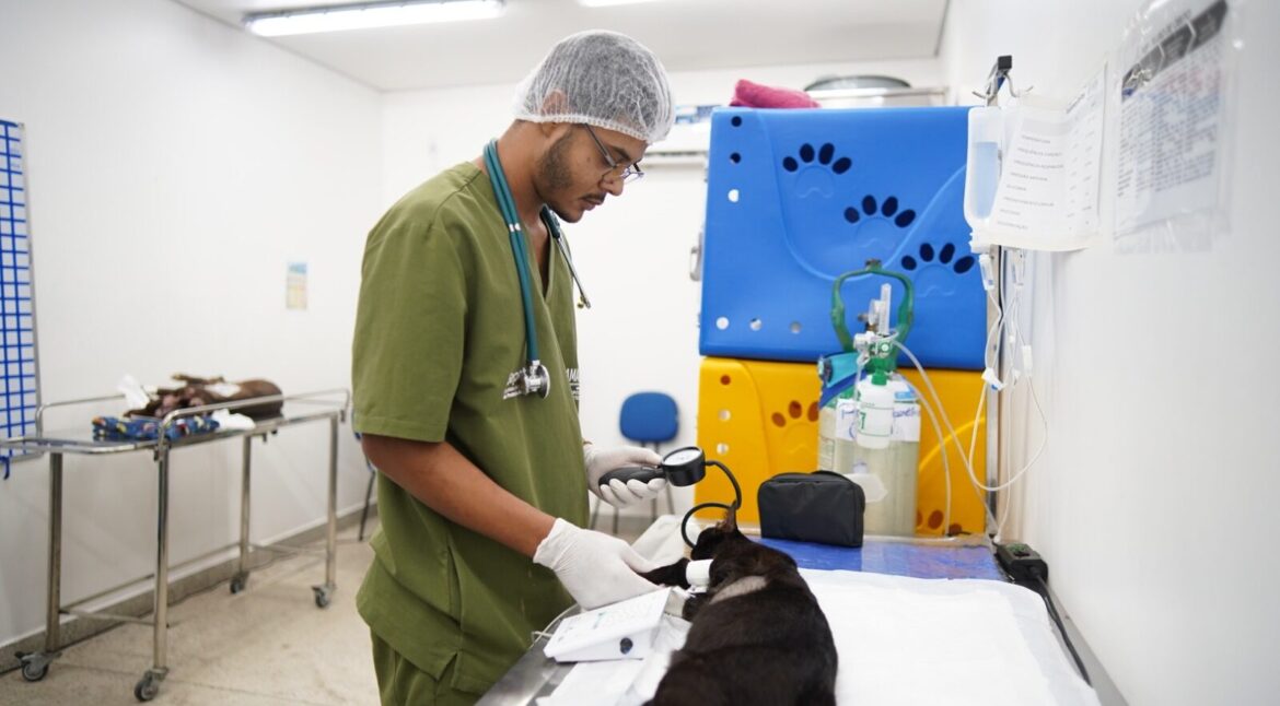 HPVet-AM alcança mais de 33 mil animais atendidos e reforça importância da saúde animal no Amazonas