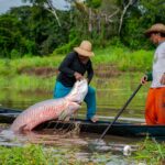 Encontro reúne pesquisadores, técnicos e comunidades tradicionais para fortalecer o uso sustentável de recursos naturais em 26 áreas protegidas da Amazônia