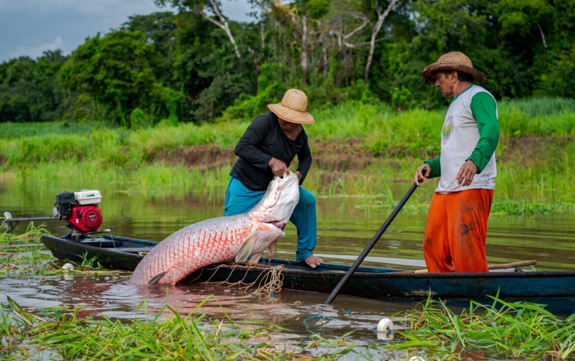 Encontro reúne pesquisadores, técnicos e comunidades tradicionais para fortalecer o uso sustentável de recursos naturais em 26 áreas protegidas da Amazônia