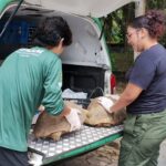 Fiacalização ambiental resgata mais de 50 animais silvestres na zona leste de Manaus