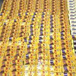 Mulheres são presas após realizarem furtos em lojas de Manaus