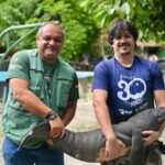 Filhote de peixe-boi ferido por arpão é resgatado em Itacoatiara