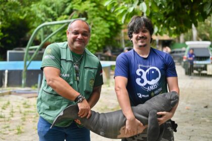 Filhote de peixe-boi ferido por arpão é resgatado em Itacoatiara