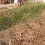 Vídeo: homem é morto a pauladas pelo próprio pai após surto em comunidade rural de Alvarães