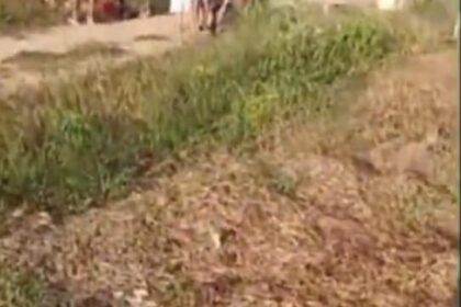 Vídeo: homem é morto a pauladas pelo próprio pai após surto em comunidade rural de Alvarães