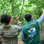 Desmatamento no Amazonas cai 30,1% no primeiro trimestre de 2026, aponta Inpe