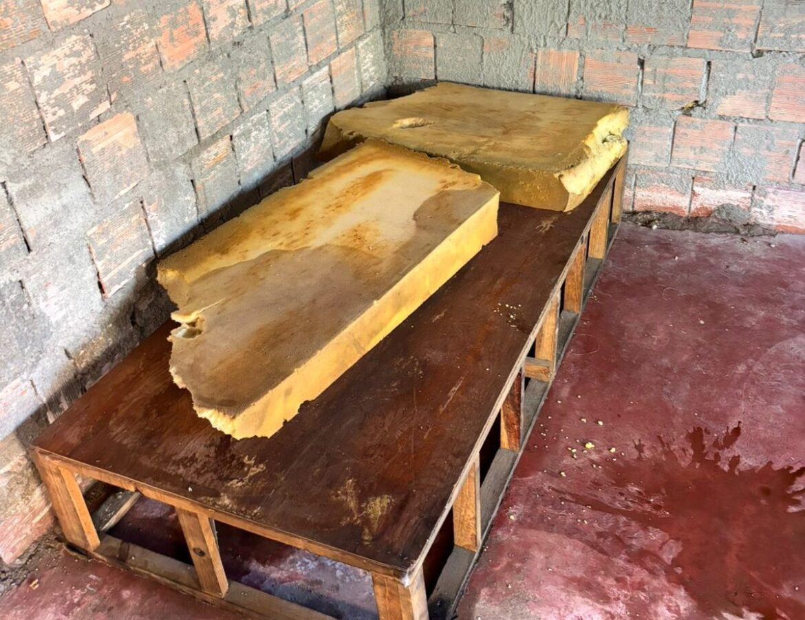 Idosa de 70 anos é abandonada pelos filhos em condições degradantes
