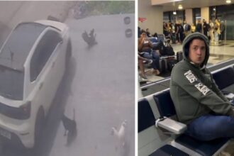 Vídeo: homem suspeito de atropelar cães no Parque Dez é detido no aeroporto de Manaus