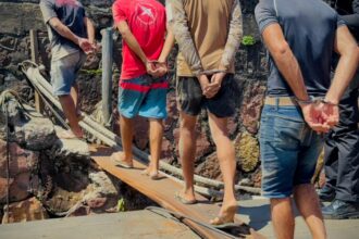 Polícia prende grupo criminoso por exploração de animais silvestres e maus-tratos