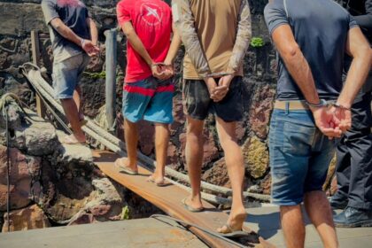 Polícia prende grupo criminoso por exploração de animais silvestres e maus-tratos
