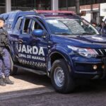 Guarda Municipal realiza resgate de dois animais silvestres e apreensão de veículos irregulares na capital