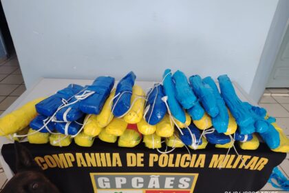 Cão policial ajuda na apreensão de mais de 21 kg de pasta-base de cocaína em operação no Amazonas