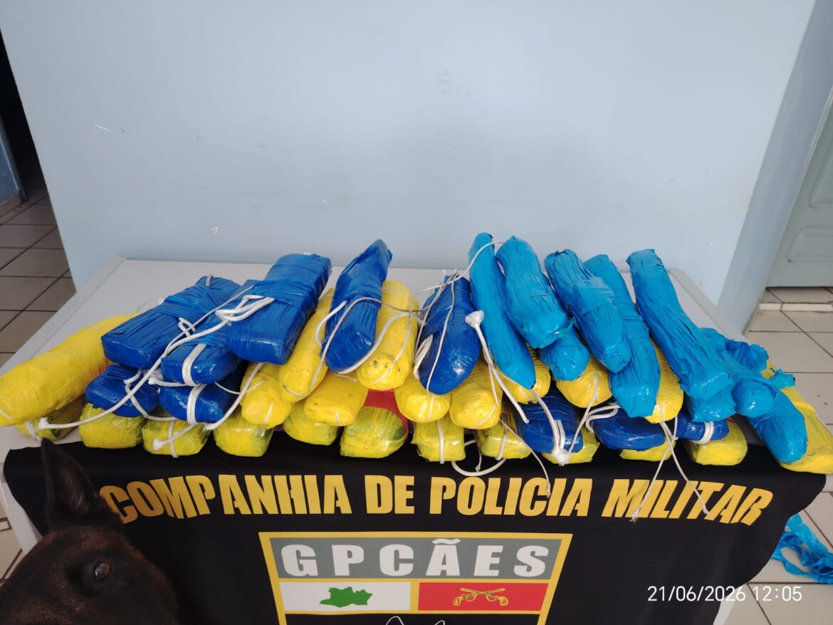 Cão policial ajuda na apreensão de mais de 21 kg de pasta-base de cocaína em operação no Amazonas
