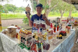 Feira Tradicional muda de endereço e passa a funcionar na Galeria+ com estacionamento gratuito