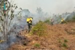 Governo Federal presta apoio ao combate aos incêndios florestais no Amazonas