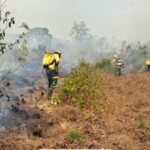 Governo Federal presta apoio ao combate aos incêndios florestais no Amazonas