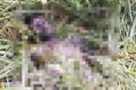 Corpo de adolescente em decomposição é encontrado em área de mata na rodovia AM-010
