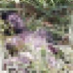 Corpo de adolescente em decomposição é encontrado em área de mata na rodovia AM-010