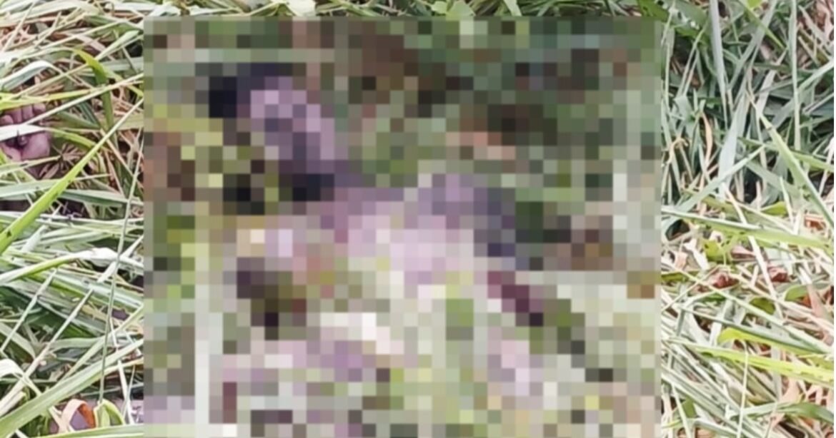 Corpo de adolescente em decomposição é encontrado em área de mata na rodovia AM-010
